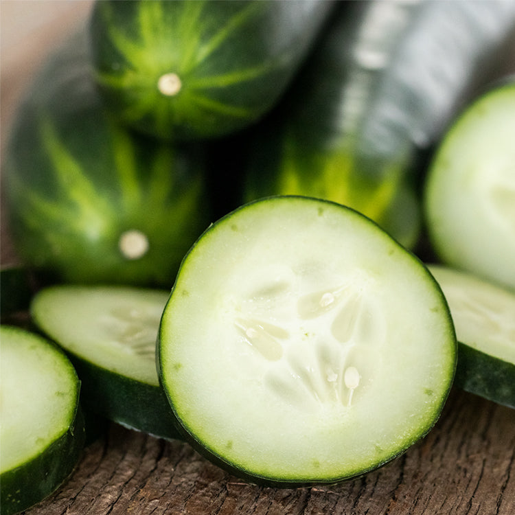 Fresh Picked Cucumber