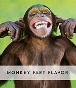 Monkey Farts