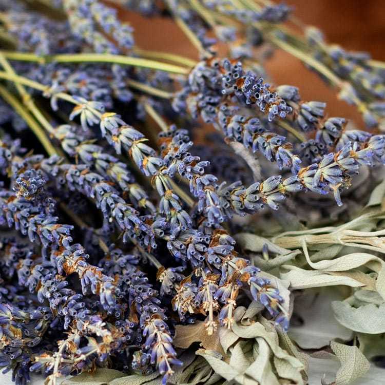 White Sage & Lavender